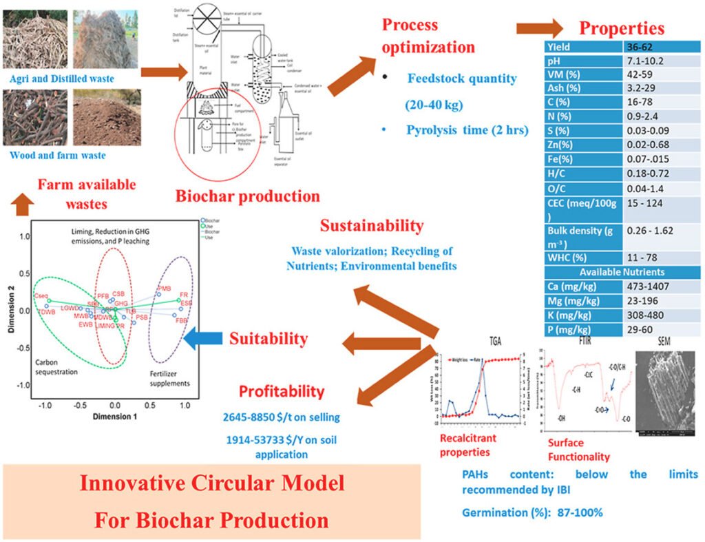 Interlude between Carbon Credit and Circular Economy