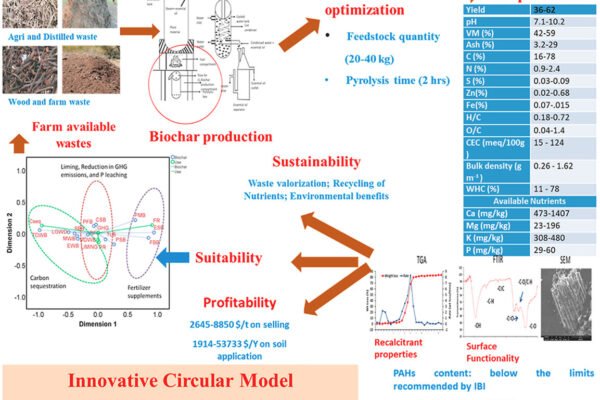 Interlude between Carbon Credit and Circular Economy